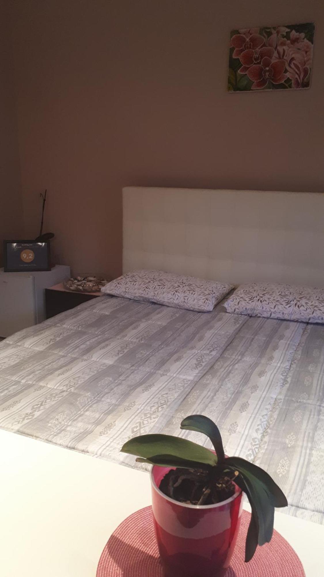 Casa Delle Orchidee Hotell Alba  Rom bilde